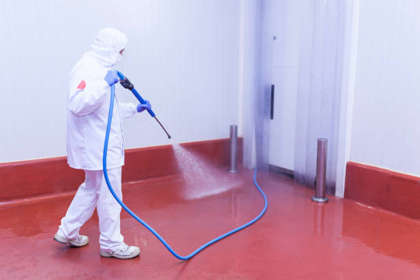 Best Post-Construction Pressure Washing  in Western Springs, IL
