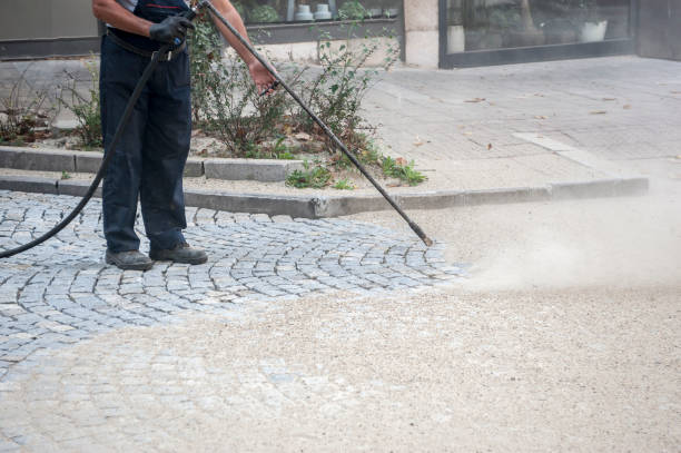 Best Animal Enclosure Cleaning  in Western Springs, IL